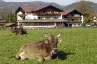 Hotel Alpenruhe
